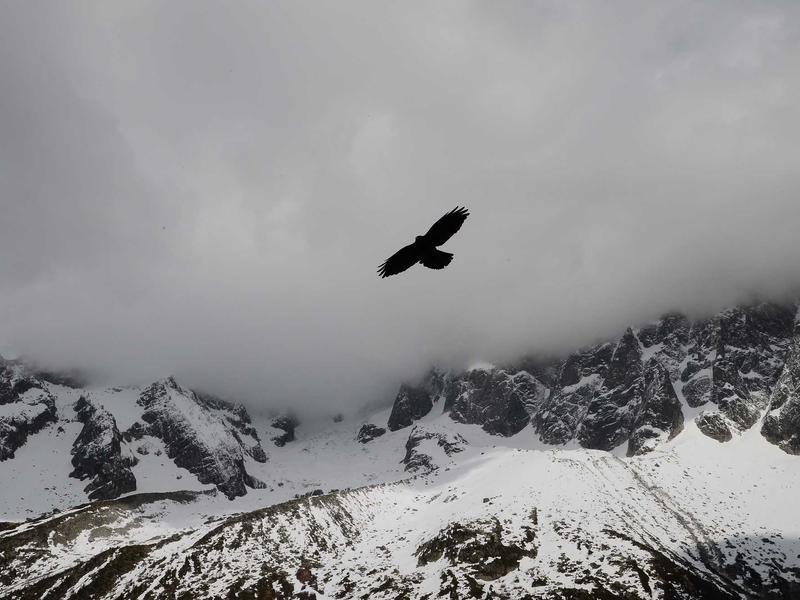 气味图书馆<br>bcxjjkz.cn 雨后泥土芬芳